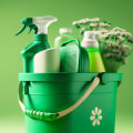 Going Green: How to Hire an Eco-Friendly Cleaning Service