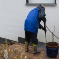 Effortless House Cleaning Tips: Why Pressure Washing Service In Charlottesville Is A Game-Changer