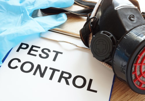 The Hidden Link Between House Cleaning And Effective Bed Bug Control In Manhattan